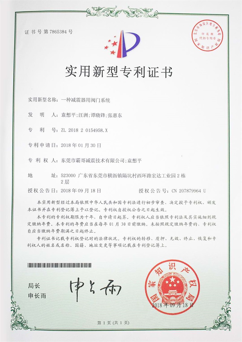 专利2