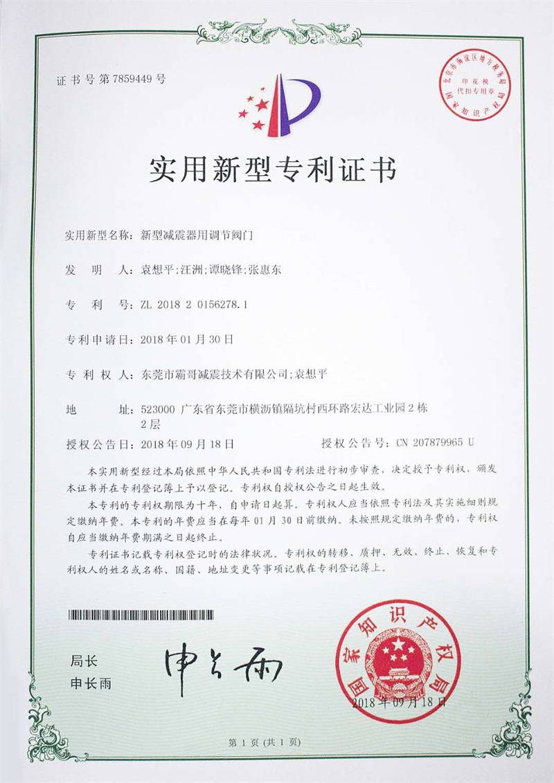 专利1